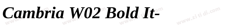 Cambria W02 Bold It字体转换